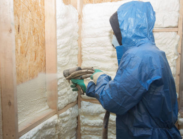 Best Vapor Barrier Installation  in Hobe Sound, FL